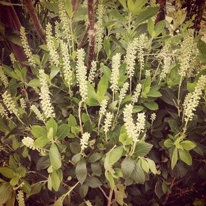 Meet your Posher, Kathleen